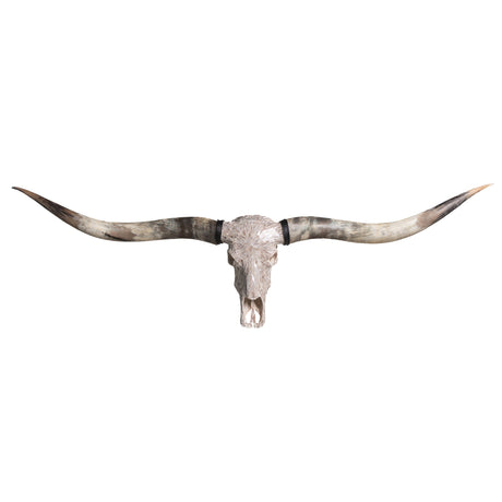 Longhorn Skull // XL Horns - Beige Mirror // Mosaic Finish