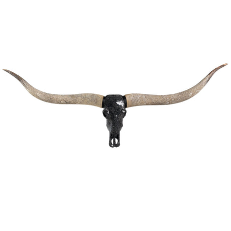 Longhorn Skull // XL Horns - Black Mirror // Mosaic Finish