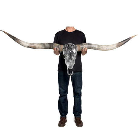 Longhorn Skull // XL Horns -  Mirror // Mosaic Finish