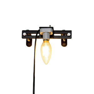 Longhorn Skulls - Metal Mount + Lamp