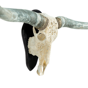 Longhorn Skulls - Wood Wall Mount