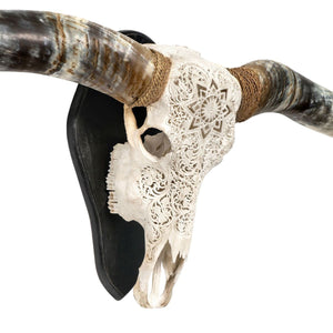XL Longhorn Skulls - Wood Wall Mount