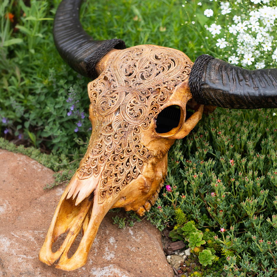 Buffalo Skull Meaning, The Rich Culture and Why You’d Love It