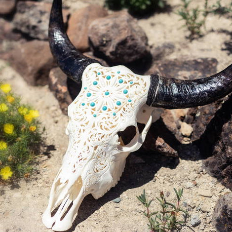 The Art of Taxidermy: A Guide to Taxidermy History and Techniques