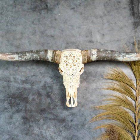 Down and Dirty: How to Clean Animal Bones