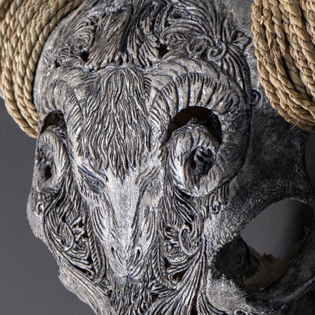 Hand Carved Longhorn Skull // XL Horns - Gray Aries