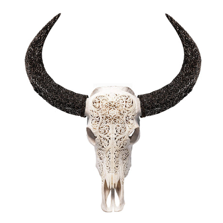 Hand Carved Buffalo Skull - White Sun