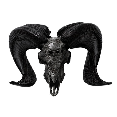 Hand Carved Ram Skull - Black Thorn