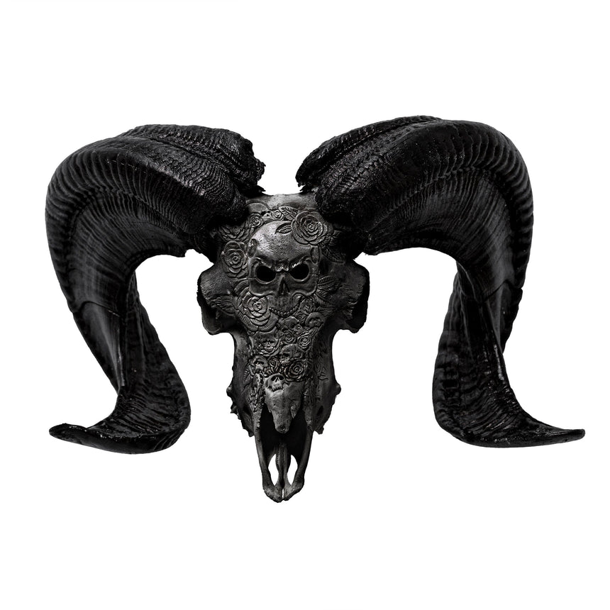 Hand Carved Ram Skull - Black Thorn – Skull Bliss