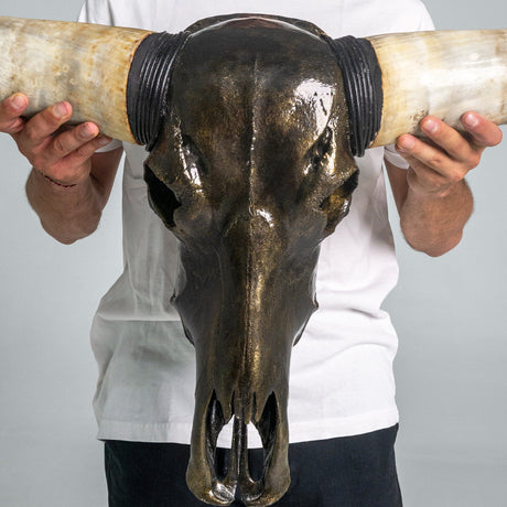 Longhorn Skull - Antique Bronze Storm // Metallic Finish