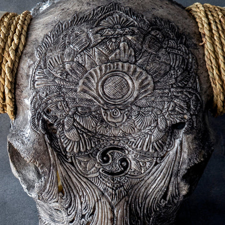 Hand Carved Longhorn Skull // XL Horns - Gray Cancer