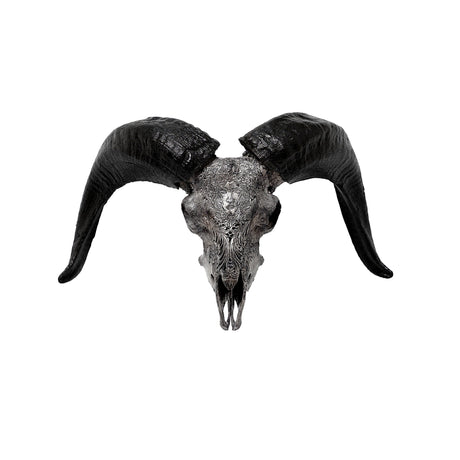 Hand Carved Ram Skull - Gray Virgo