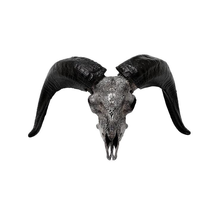 Hand Carved Ram Skull - Gray Virgo – Skull Bliss