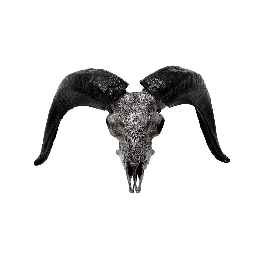 Hand Carved Ram Skull - Gray Virgo – Skull Bliss