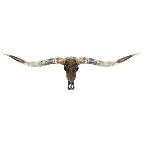 Hand Carved Longhorn Skull // XL Horns - Antique Gray Fine Line