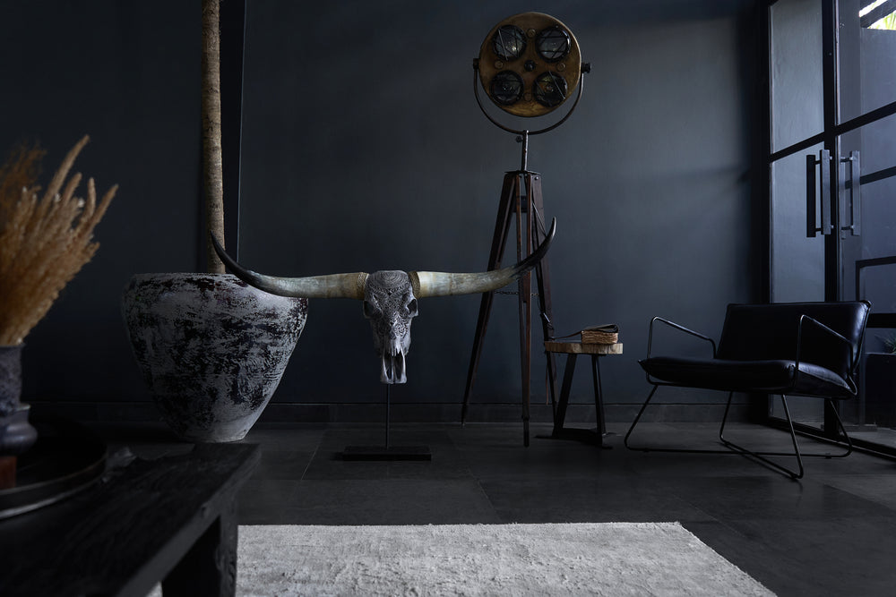 Home Office & Studio