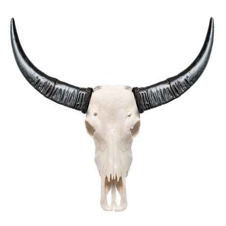 Buffalo Skull - White Storm