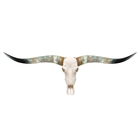 Longhorn Skull - White Storm