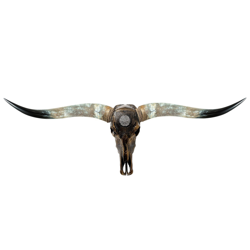 アンティーク スカル ホーン フレーム 英国 アンティーク スカル ホーン フレーム 英国