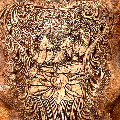 Hand Carved Buffalo Skull - Antique Brahma