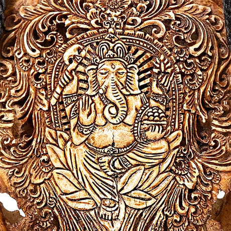 Hand Carved Buffalo Skull - Antique Ganesha