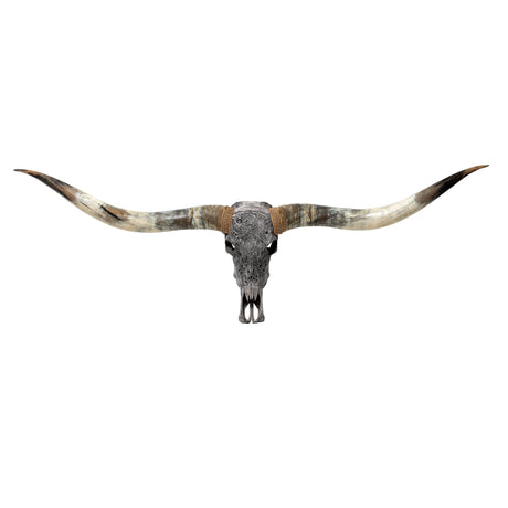 Hand Carved Longhorn Skull // XL Horns - Gray Taurus