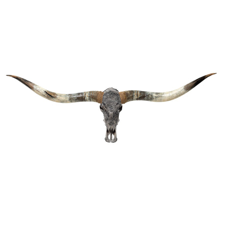 Hand Carved Longhorn Skull // XL Horns - Gray Cancer