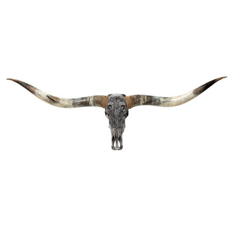 Hand Carved Longhorn Skull // XL Horns - Gray Aries