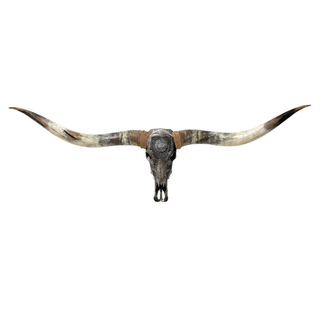 Hand Carved Longhorn Skull // XL Horns - Gray Nordic Compass