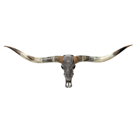 Hand Carved Longhorn Skull // XL Horns - Gray Pisces