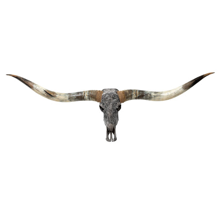 Hand Carved Longhorn Skull // XL Horns - Gray Sagittarius