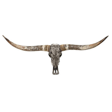Longhorn Skull - Gray Storm