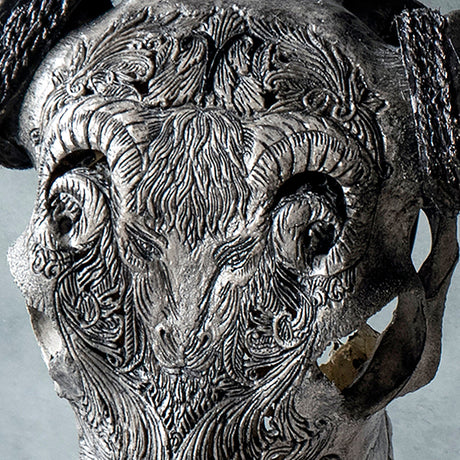 Hand Carved Buffalo Skull - Gray Aries