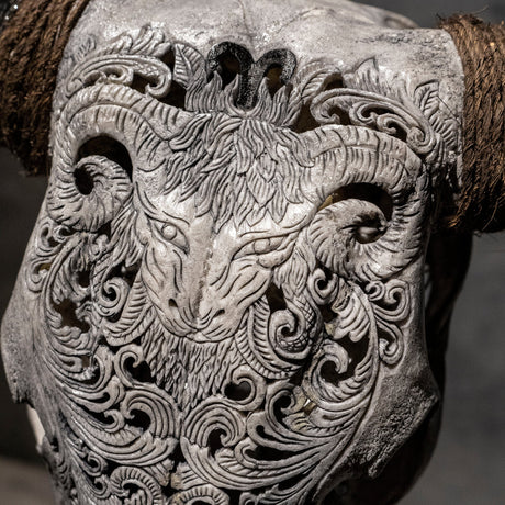 Hand Carved Cow Skull - Gray Aries