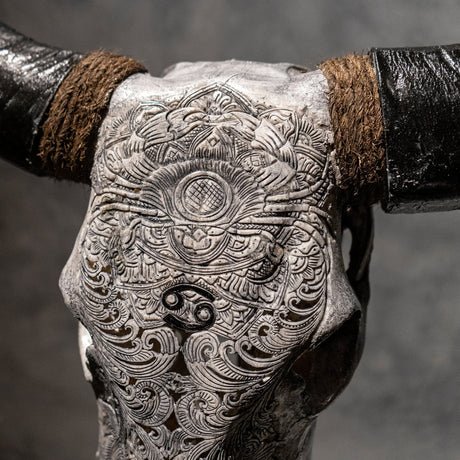 Hand Carved Cow Skull - Gray Cancer