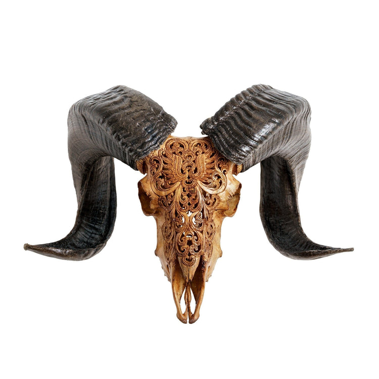 Hand Carved Ram Skull - Antique Phoenix – Skull Bliss