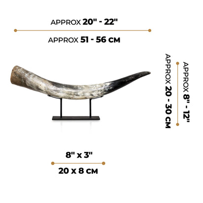 Longhorn Horn - Agung – Skull Bliss