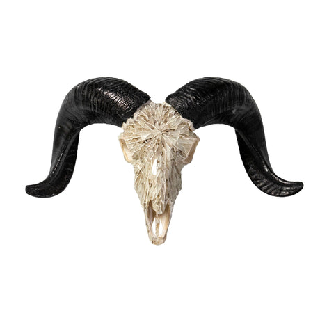 Ram Skull - Beige Mirror // Mosaic Finish