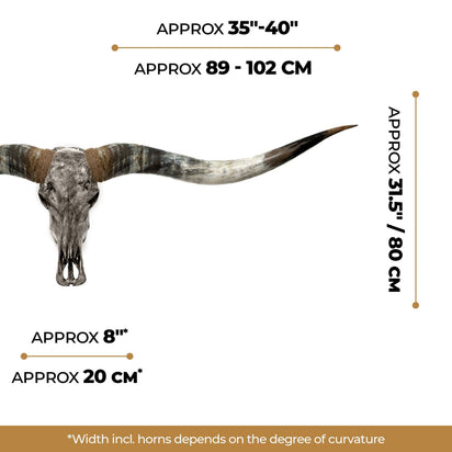 Longhorn Skull // XL Horns - Gray Storm – Skull Bliss