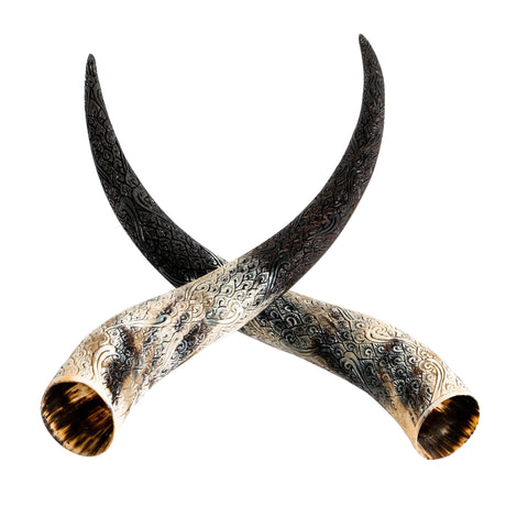 Hand-Carved Longhorn Horns