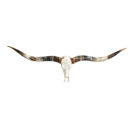 Hand Carved Longhorn Skull // XL Horns - White Feathers