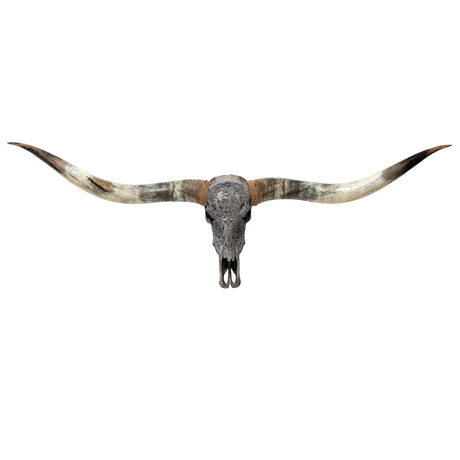 Hand Carved Longhorn Skull // XL Horns - Gray Leo