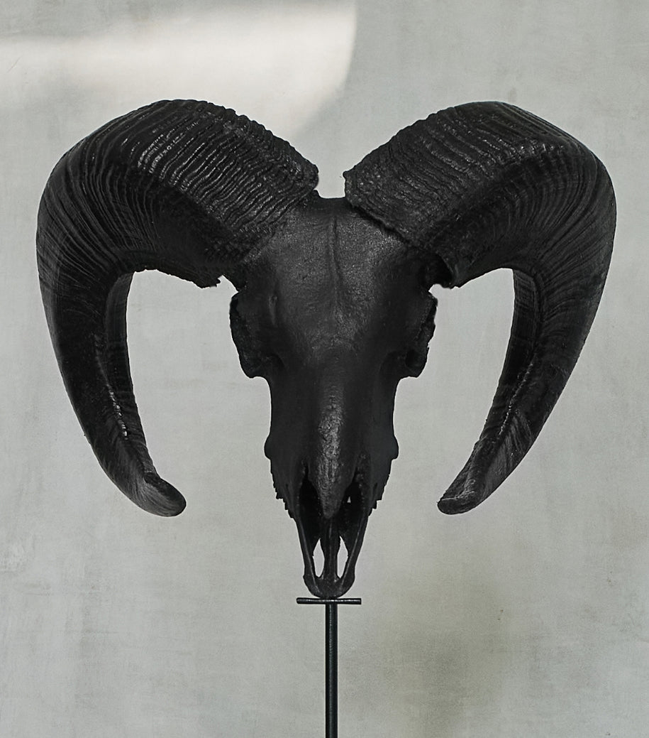 Matte Black Collection