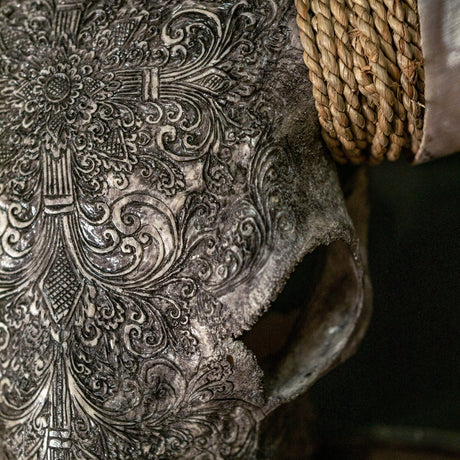 Hand Carved Longhorn Skull // XL Horns - Gray Fine Line