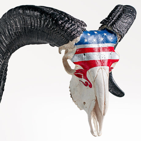 Ram Skull - Stars & Stripes