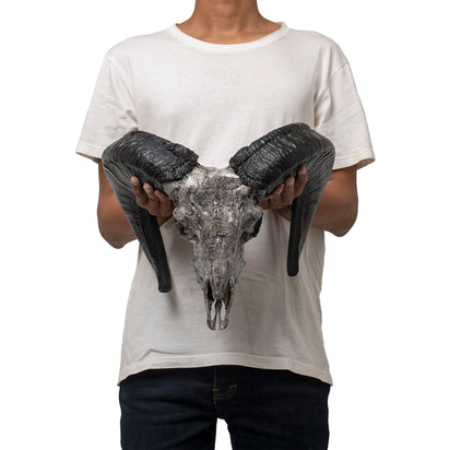 Hand Carved Ram Skull - Gray Norseman – Skull Bliss