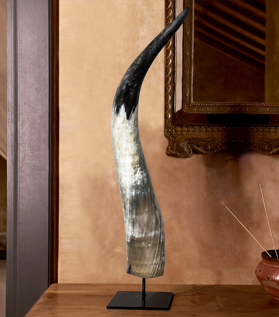 Horn Decor