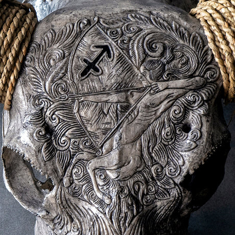 Hand Carved Longhorn Skull // XL Horns - Gray Sagittarius