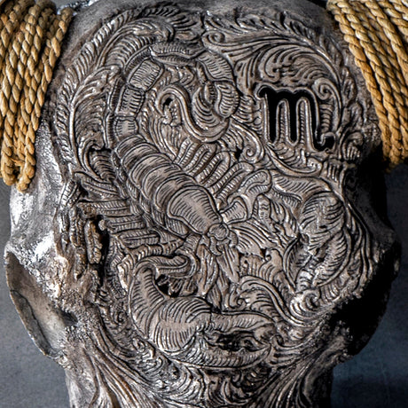 Hand Carved Longhorn Skull // XL Horns - Gray Scorpio