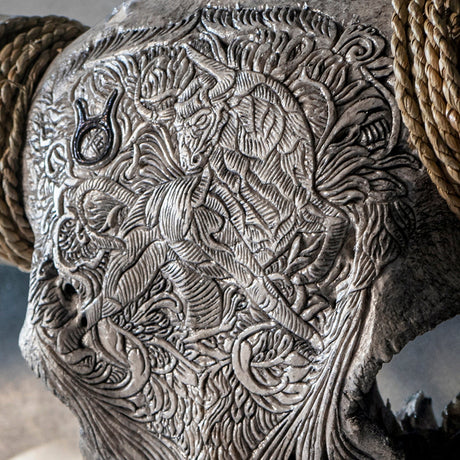 Hand Carved Longhorn Skull // XL Horns - Gray Taurus